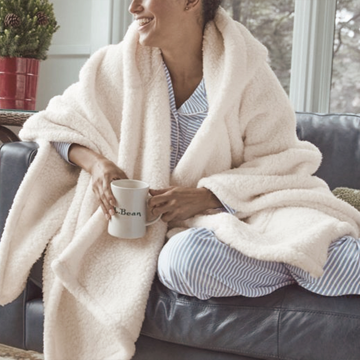 Lama Mood Interior Copy