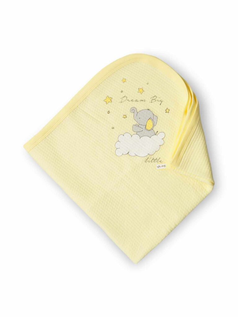 ОДЕЯЛО БЕБЕ-СЛОНЧЕ 2